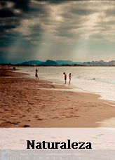naturaleza-en-ribamontan-al-mar