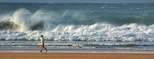 Naturaleza en Santoña