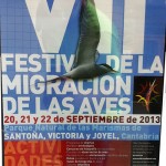 VII Festival de Migración de las Aves en Santoña 2013 los días 20, 21 y 22 de septiembre