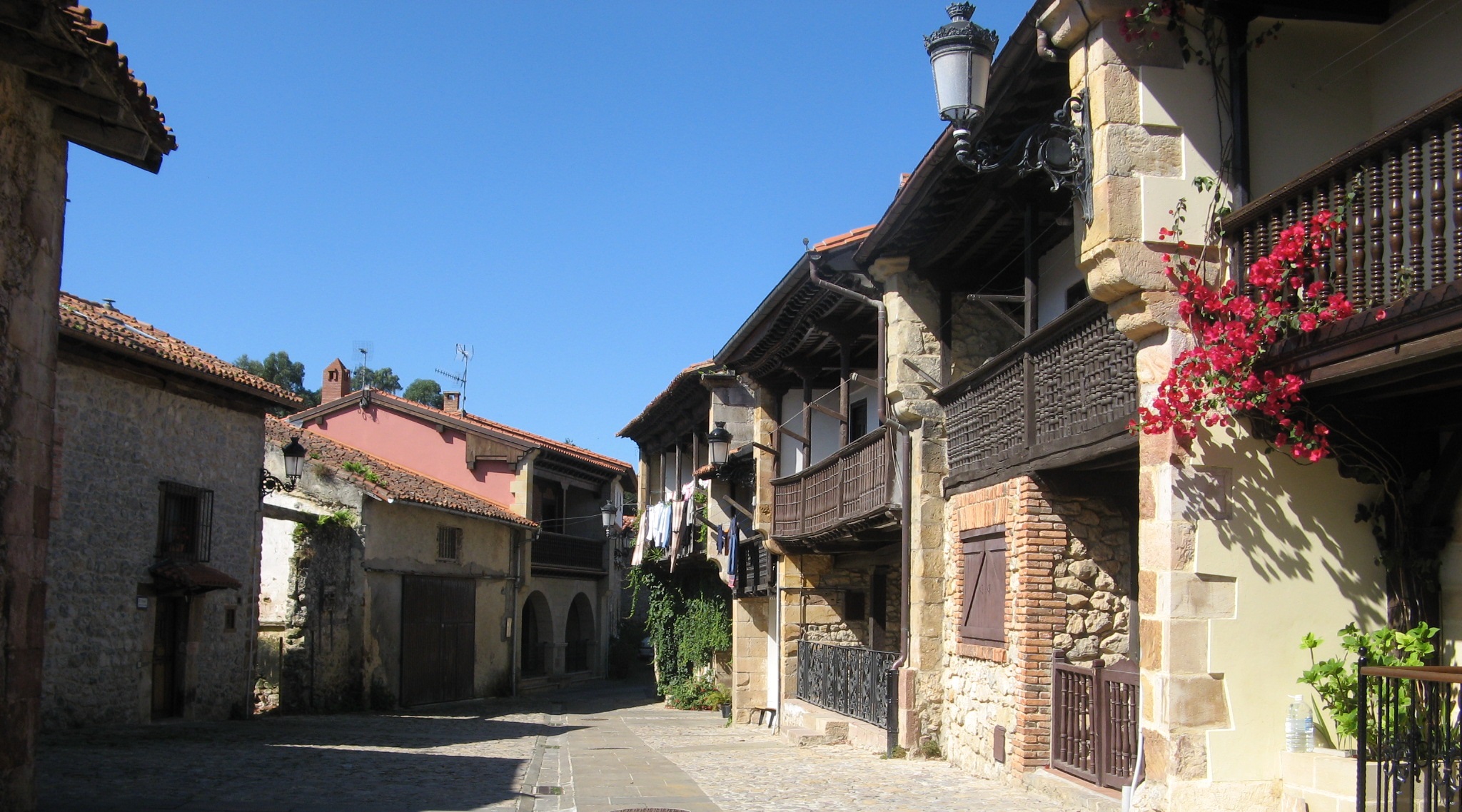 ruiloba