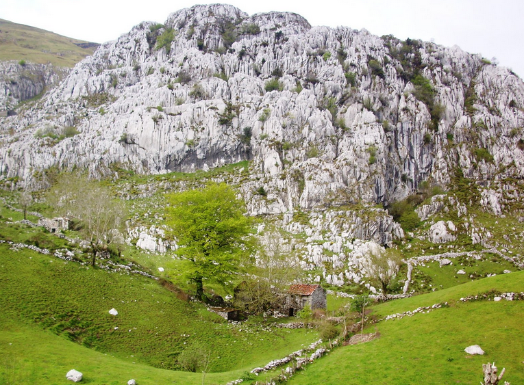 camino_bustablado