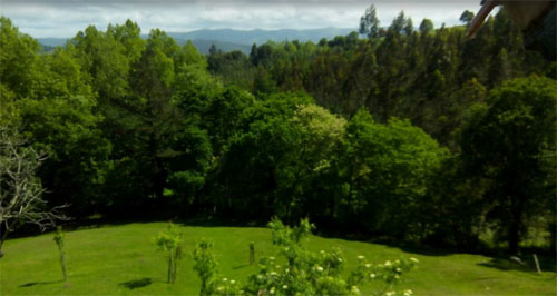 Bosque de la Charola en El Tejo