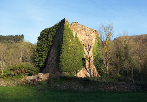 Torres Medievales de Campo en Bores