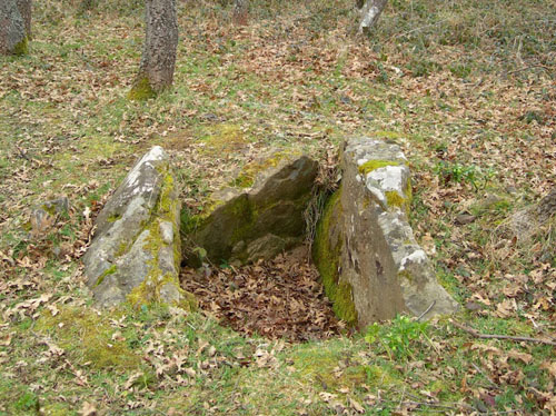 restos-megaliticos-de-dobarganes