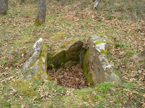 Restos Megalíticos de Pico de Jano en Dobarganes