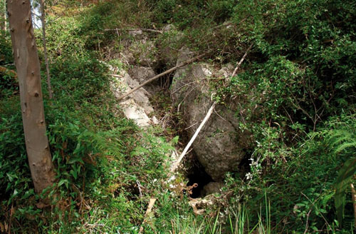 Cueva Portillo del Arenal en Arce