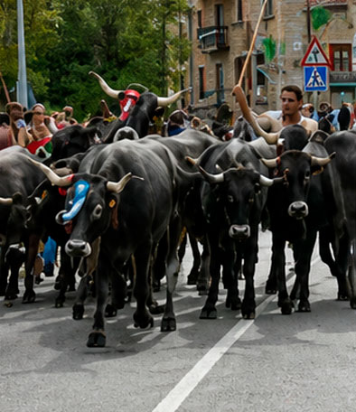 Cabuérniga, comarca del Saja-Nansa, Cantabria