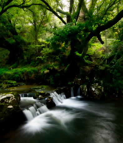 Cieza, comarca del Besaya, Cantabria