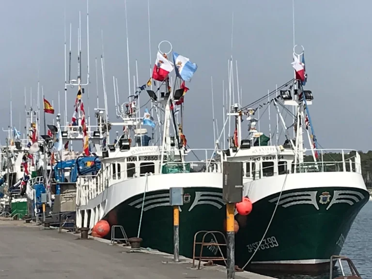 Cofradía de Pescadores, San Vicente de la Barquera
