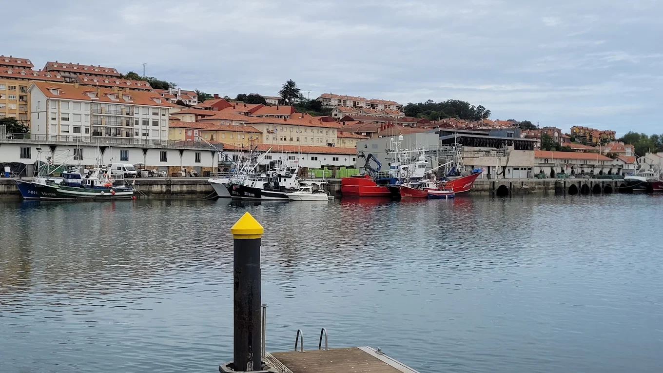 Puerto Pesquero, San Vicente de la Barquera