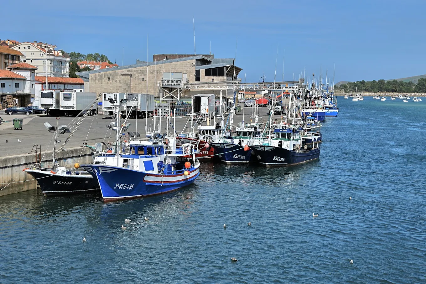 Puerto Pesquero, San Vicente de la Barquera