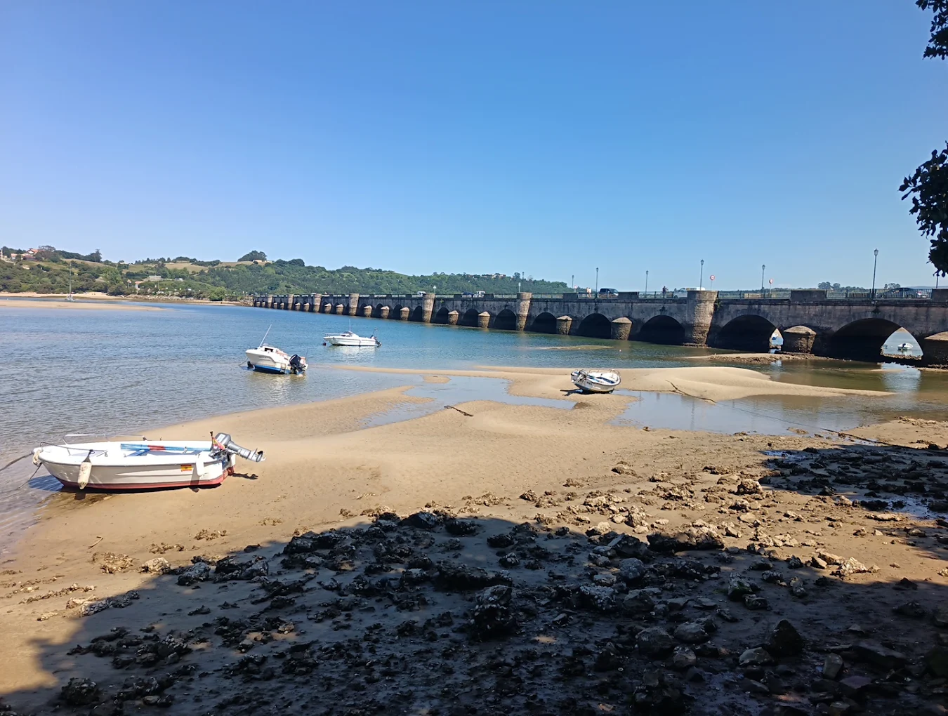 Marismas de Pombo y Rubín, San Vicente de la Barquera