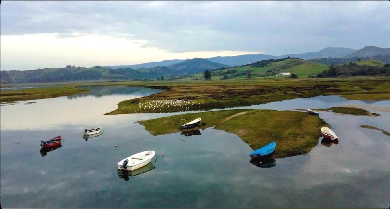 Marismas de Pombo y Rubín, San Vicente de la Barquera