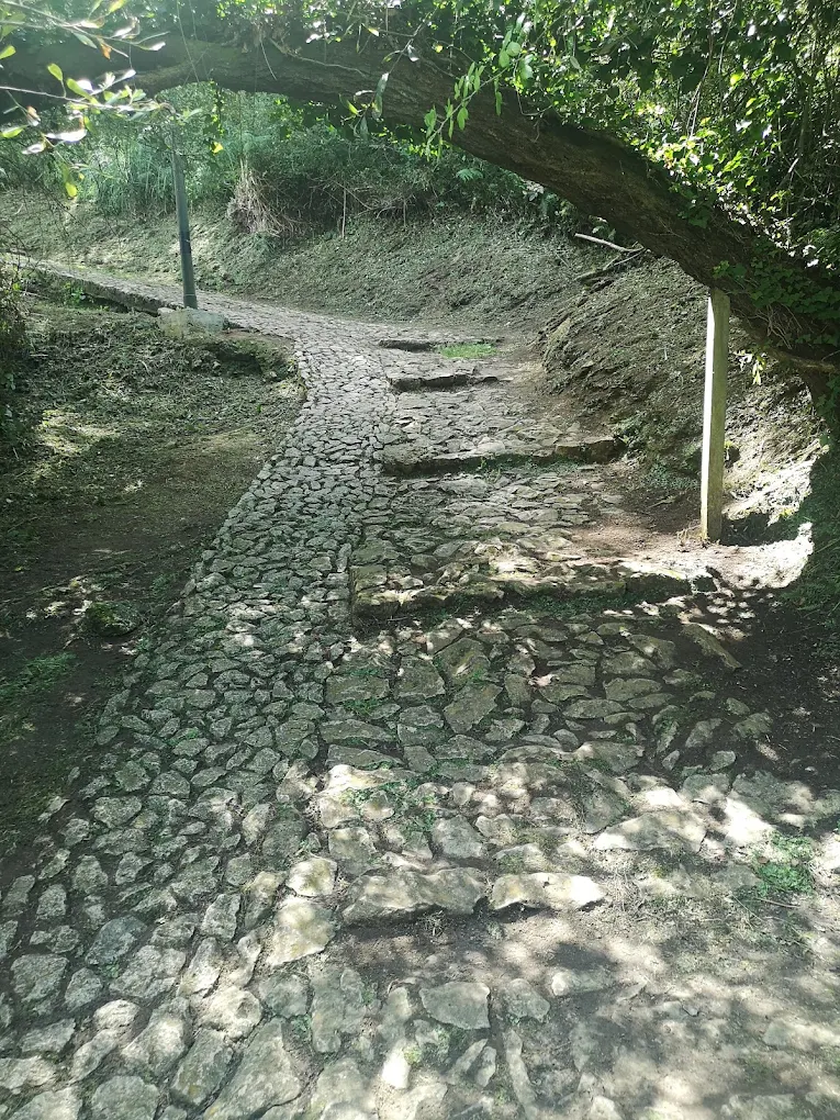 Tramo umbrío del Atajo de la Fuente de Enmedio bajo la sombra de los árboles, con escalones de piedra tallados en el empedrado