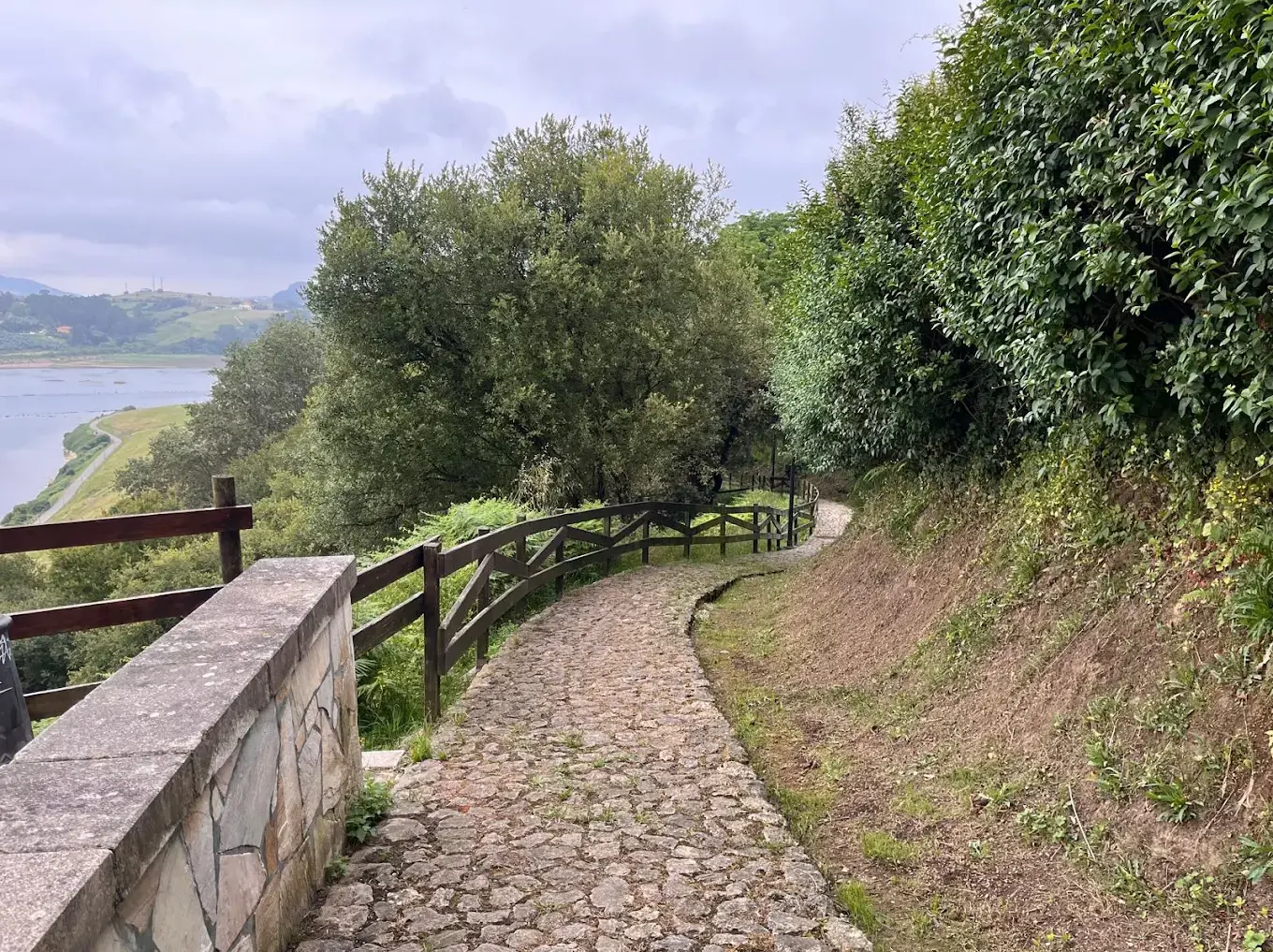 Camino empedrado del Atajo de la Fuente de Enmedio bajando entre arbolado, con un mirador de piedra y la ría al fondo
