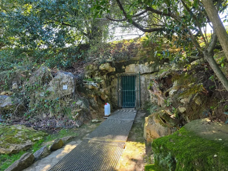 Cueva de Altamira