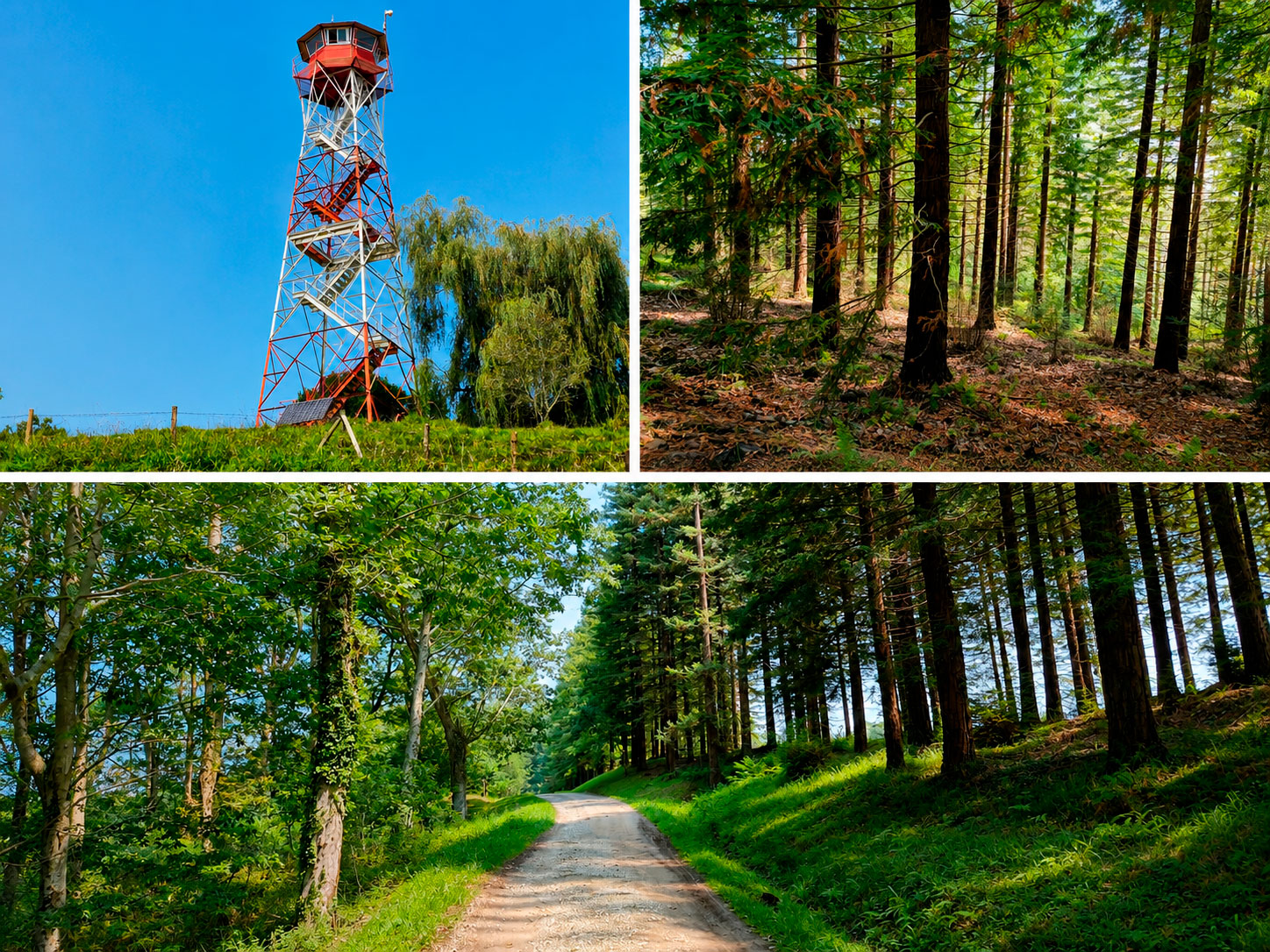 Monte Corona, Comillas, Cantabria