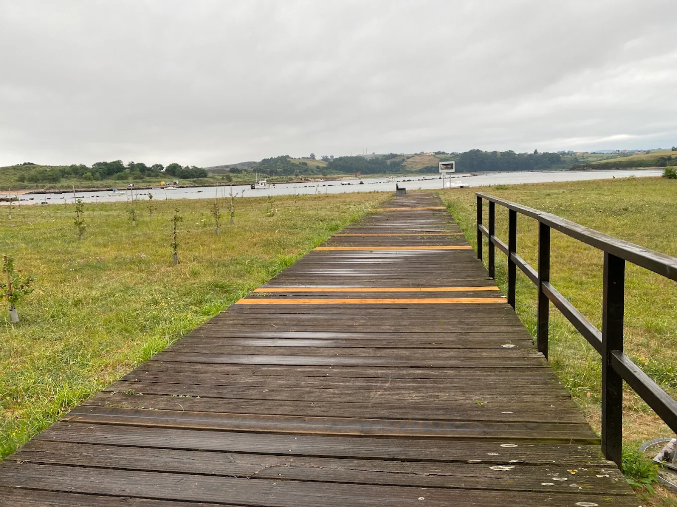 Pasarela de madera sobre la marisma recuperada del parque de La Ribera, con árboles jóvenes recién plantados y embarcaciones fondeadas en la ría