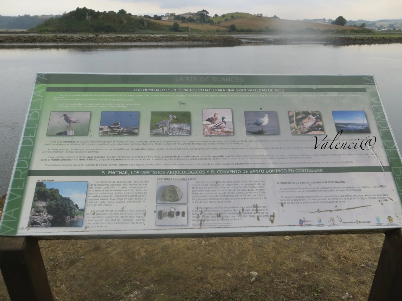 Extensión de marismas e intermareal de Vuelta Ostrera bordeando la ría de San Martín