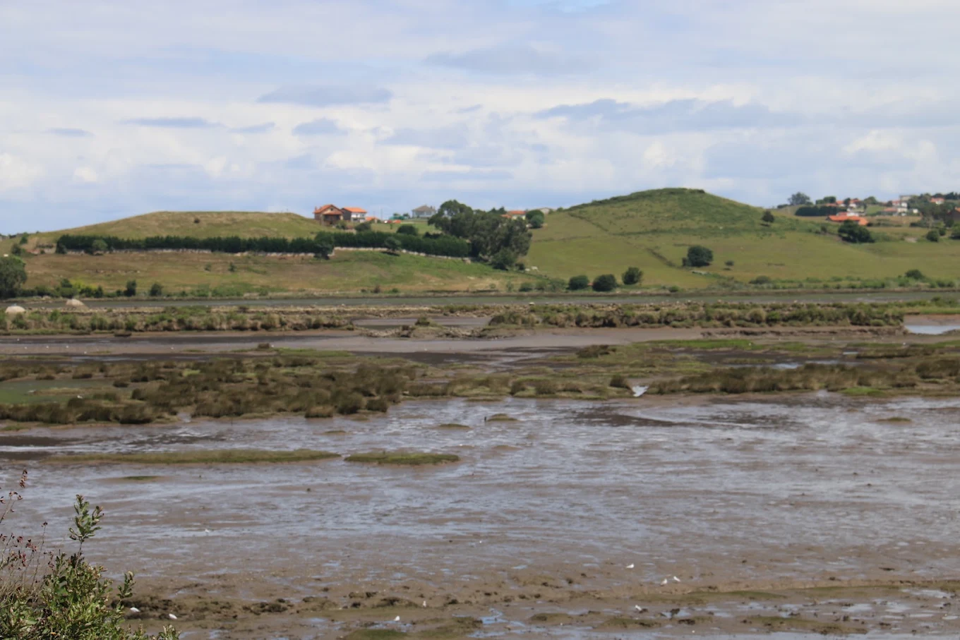Panorámica del Humedal de Vuelta Ostrera con aguas tranquilas y vegetación de marisma