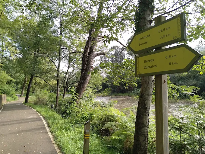 Humedales de la ría de San Martín desde el carril bici