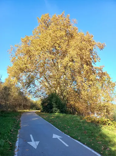 Pasarela del carril bici de Suances sobre la ría
