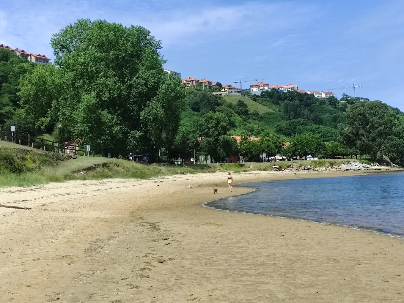 Arenal de La Riberuca junto a la ría de San Martín de la Arena
