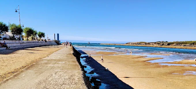 Bambú japonés Fallopia japonica invadiendo la ribera de la ría de San Martín