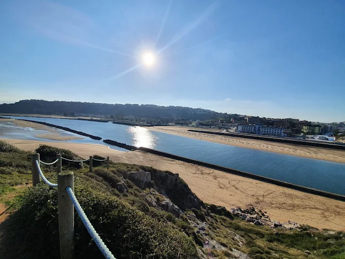 Encinar sobre roquedo calizo junto a la pasarela del carril bici de Suances