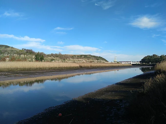 Ría de San Martín de la Arena con los fangos intermareales en bajamar