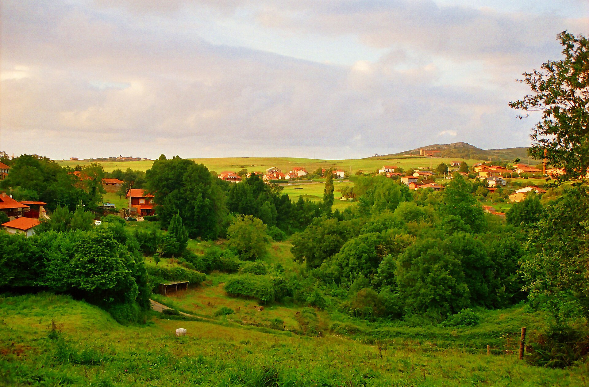 Vista del núcleo de Oreña entre prados y casas rurales