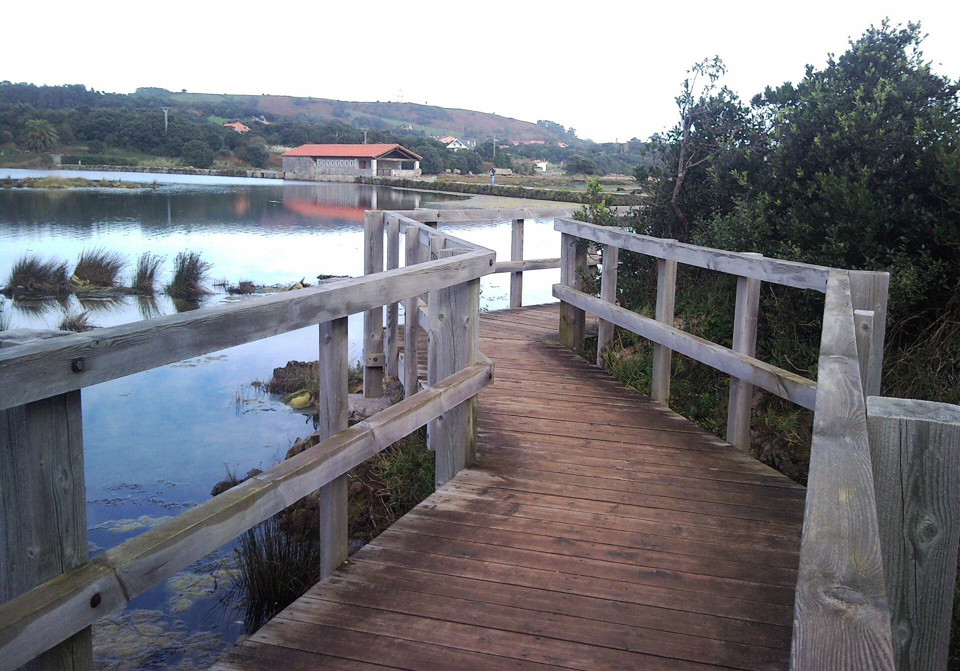 Marisma de Joyel, espacio natural de Soano