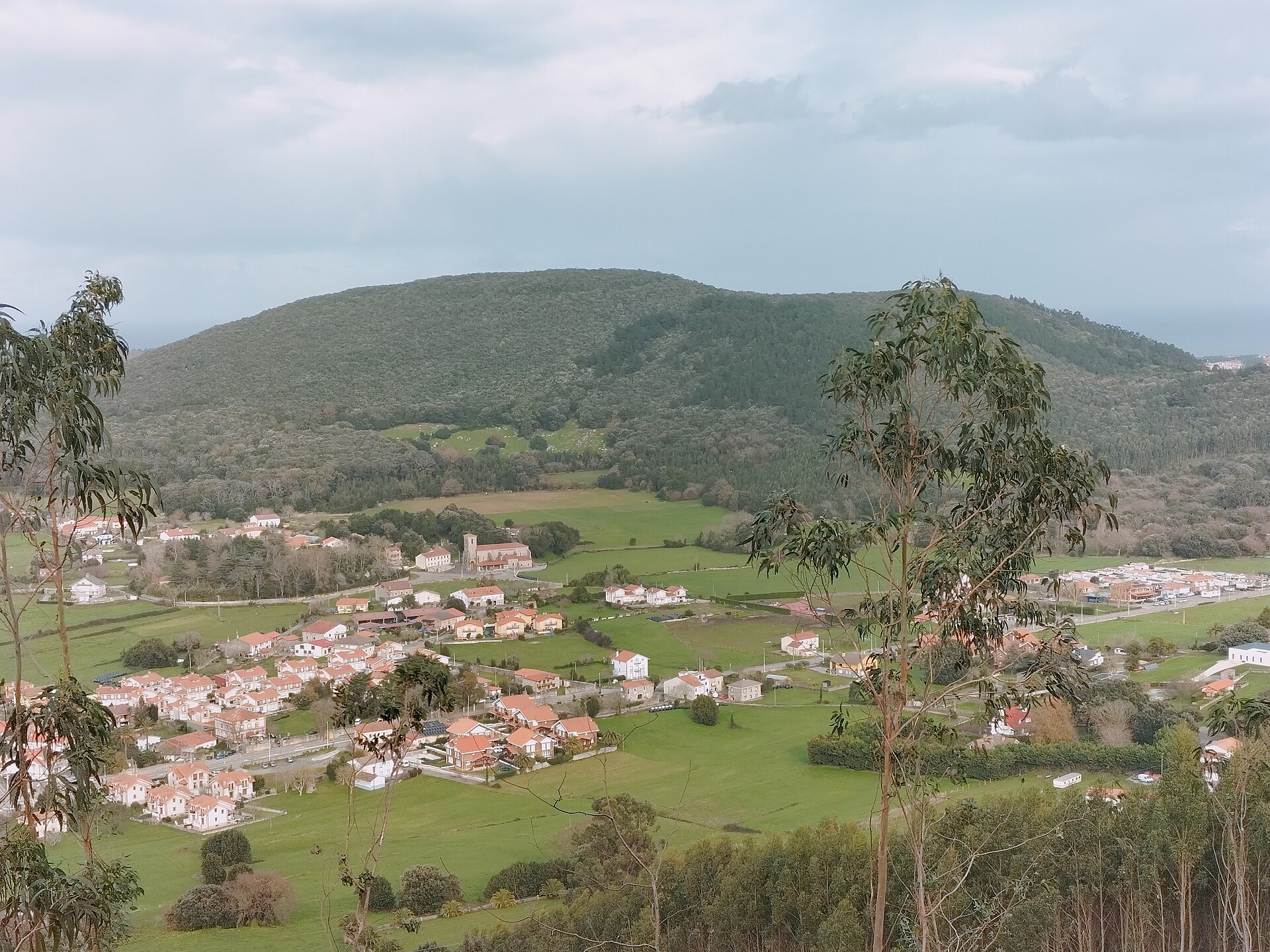Vista del Alto del Cincho y su ladera arbolada desde Arnuero