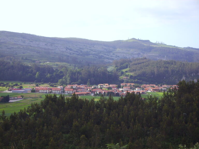 Panorámica de Casar de Periedo