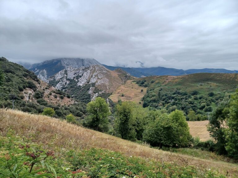 Paisaje de Cabañes, en el Camino Lebaniego