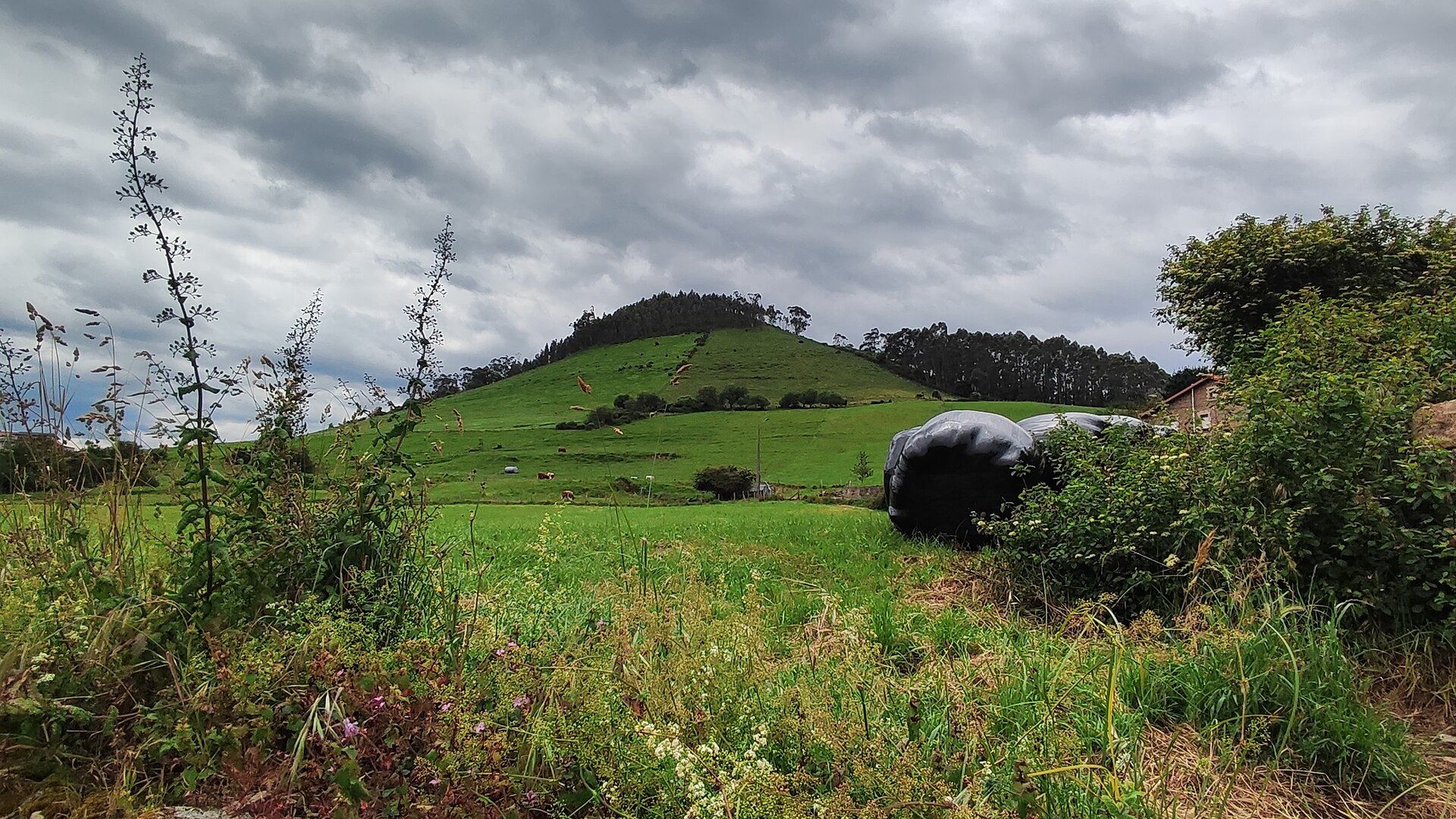 Paisaje del Cueto de Mogro