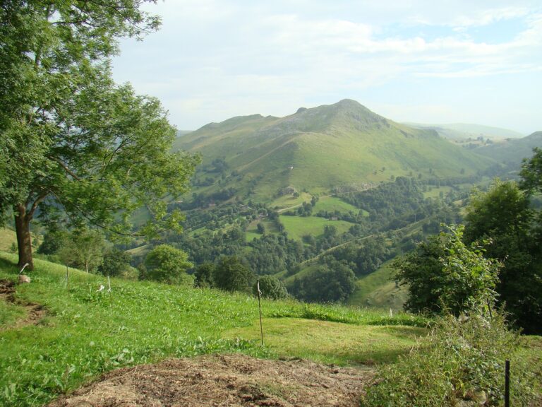 Paisaje general del municipio de Miera
