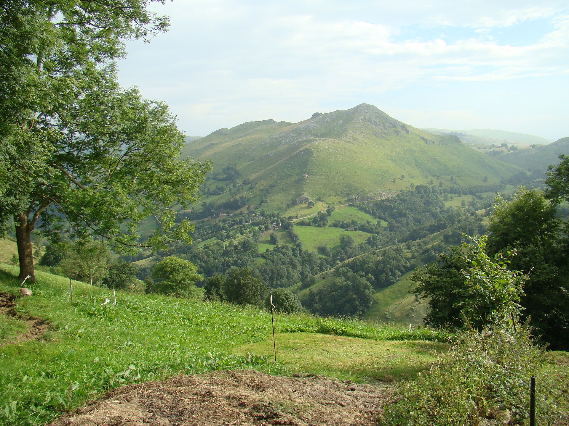 Paisaje general del municipio de Miera
