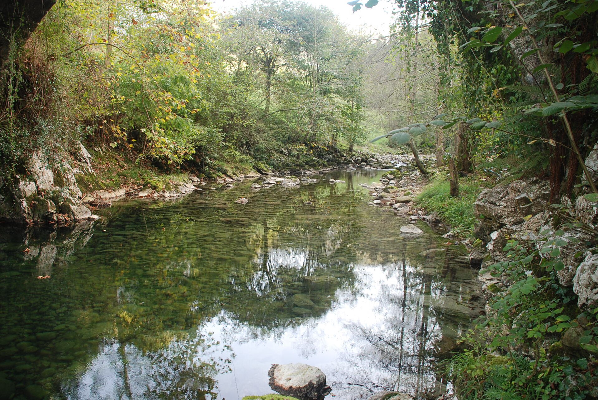 Senda fluvial del Miera en Mirones