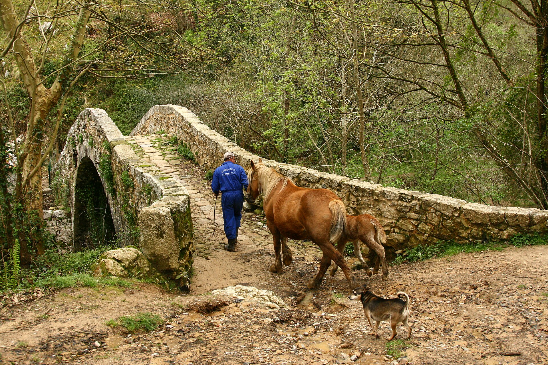 Puente de piedra en el valle del Miera, cerca de Mirones