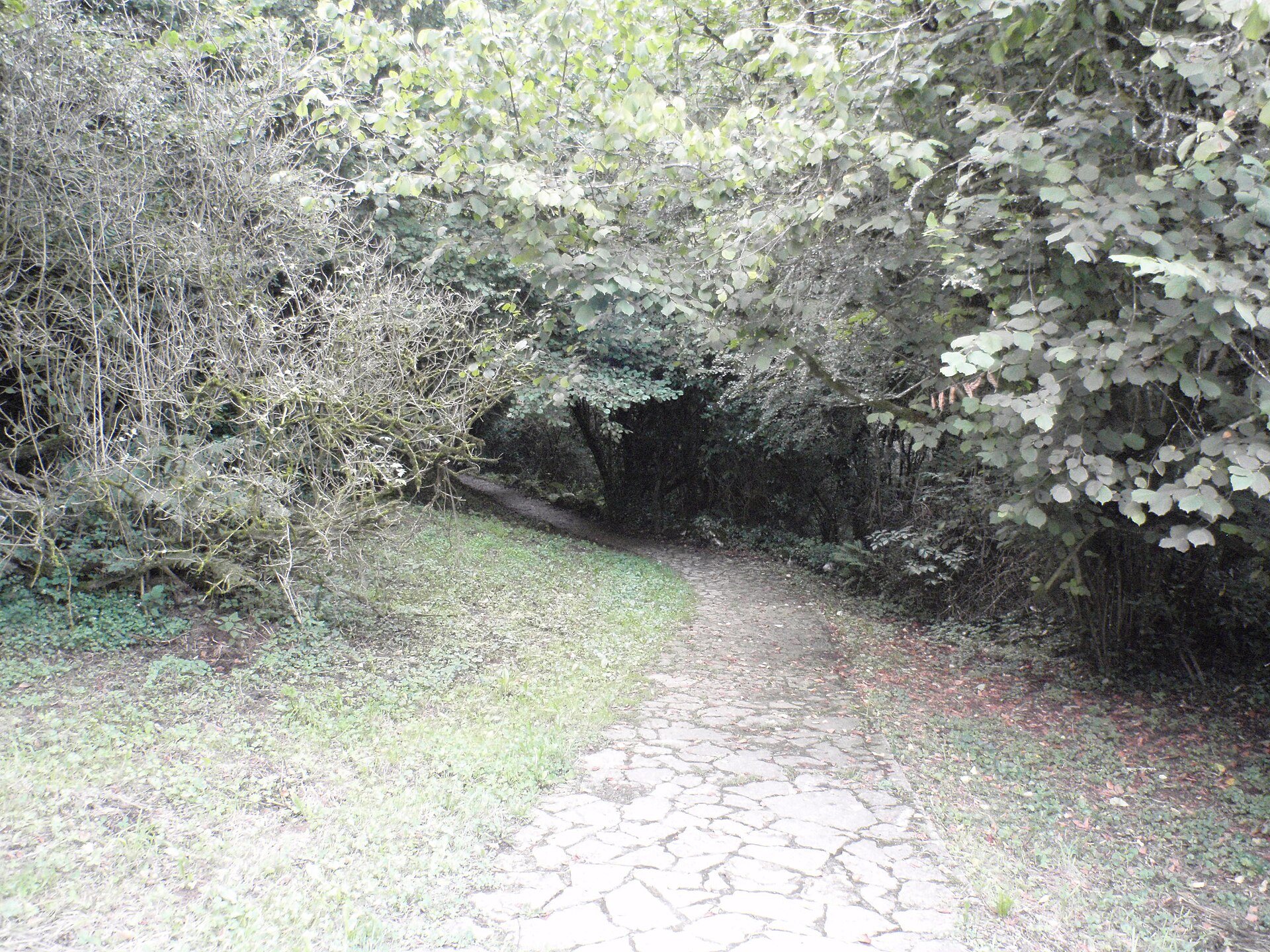 Entrada a la cueva de El Pendo