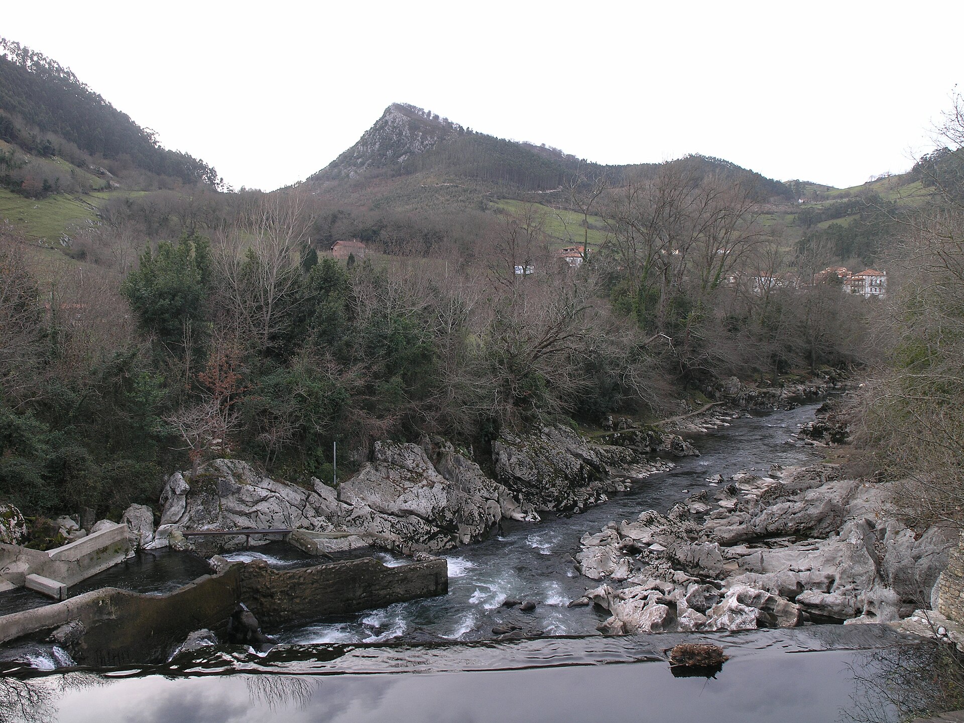 Río Pas a su paso por Puente Viesgo