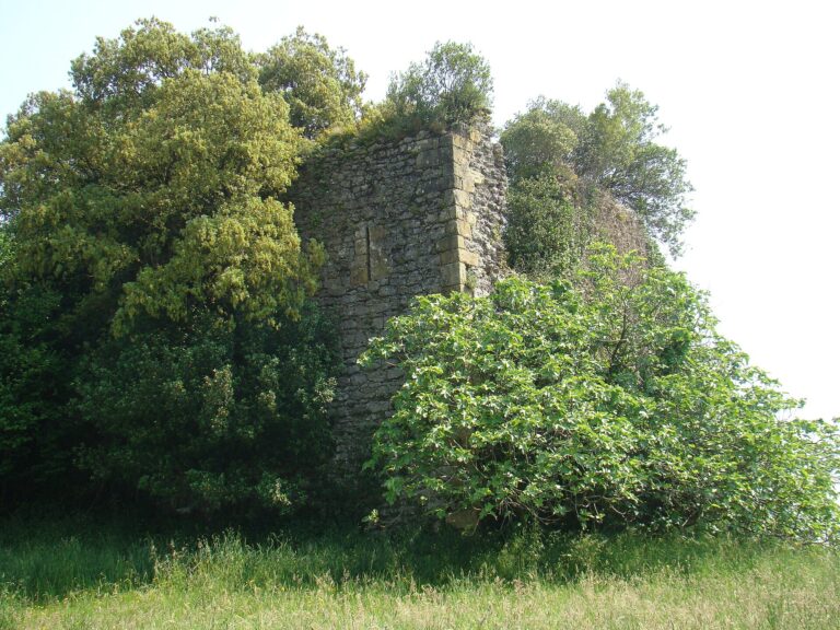Torre de Alvarado en Secadura